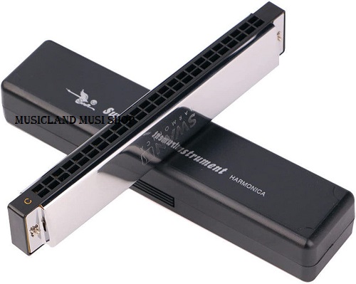 Swan 24 Holes Harmonicas plastic case